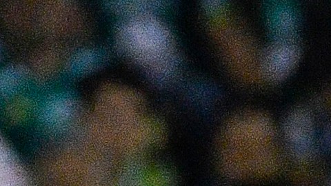 León, Guanajuato, 18 de febrero de 2020. Carlos Vela, durante el juego de ida de los Octavos de Final de la Liga de Campeones de la Concacaf 2020, entre Esmeraldas del León y Los Angeles FC, celebrado en el estadio León. Foto: Imago7/Sebastian Laureano Miranda