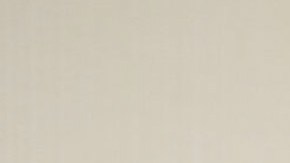 John Fetterman, demócrata por Pensilvania