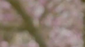 Kate Middleton anuncia que tiene cáncer y reaparece en cámara