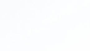 Liz Cheney, exrepresentante republicana