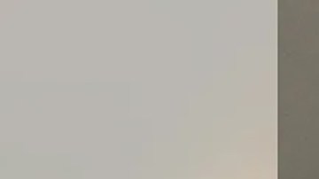 Michelina Desiree Goodwin