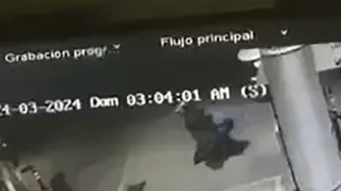 Violencia en Sinaloa