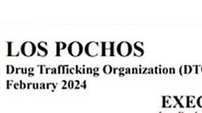 Sanciones a Isel Aneli Suñiga