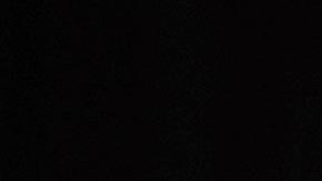 Donald Trump, exmandatario de la nación