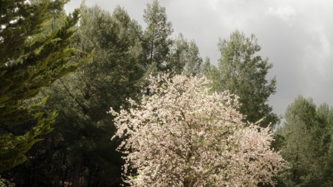 Volkswagen ID.3 GTX e ID.7GTX