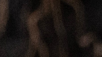 Biden pronunció su discurso sobre el Estado de la Unión ante una sesión conjunta del Congreso.