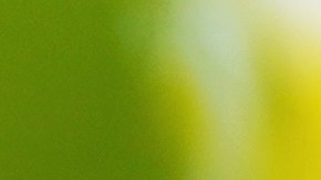 Las abejas pueden tener un significado espiritual.