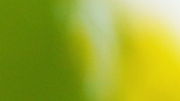 Las abejas pueden tener un significado espiritual.