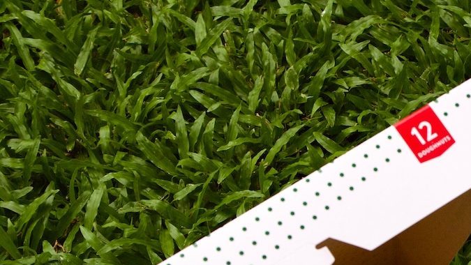 Dos cajas de Krispy Kreme en un exuberante jardín verde. La empresa anunció que comenzará a vender sus donas en McDonald’s.