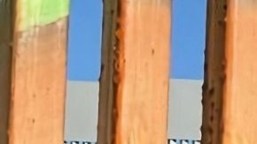 Pilares del muro fronterizo del Parque de La Amistad harán parte del Museo US.