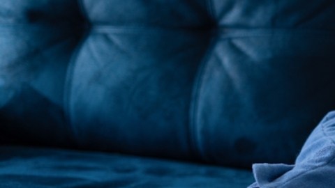Autismo: tener un perro puede ayudar a los niños a conciliar el sueño