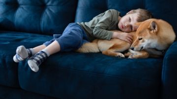 Autismo: tener un perro puede ayudar a los niños a conciliar el sueño