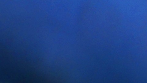 Los aztecas tenían su propio horóscopo.