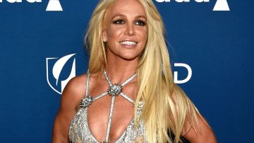 Britney Spears informó sobre un proyecto en el que trabaja hace tiempo.