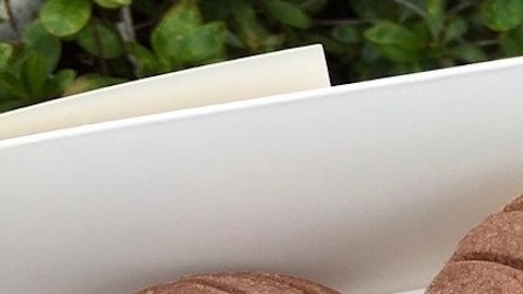 Las deliciosas conchas de @yoyiesweets, propiedad de la angelina Gloria Ruiz. (Fotos @yoyiesweets)