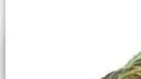 Vinculan al hermano del hispano que mató a una estudiante en Georgia con la banda criminal Tren de Aragua