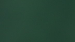 Discapacitados del Seguro Social