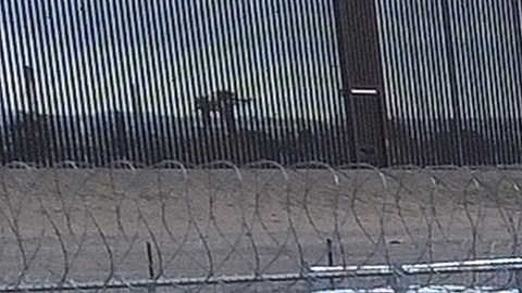 Los inmigrantes continúan siendo rechazados en la frontera de EE.UU. y México si no tienen documentos migratorios.
