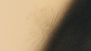 La emoción puede generar positividad y seguridad.