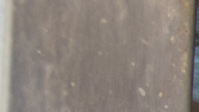 emprendedores-hispano