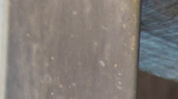 emprendedores-hispano