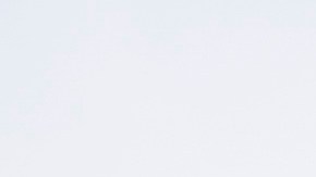 Nuno Campos, auxiliar técnico de Toluca.