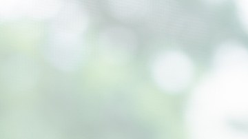 Un suplemento diario de fibra mejora la cognición de las personas mayores