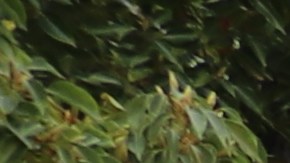 Cientos de mujeres protestan en Glendale, ciudad al norte de LA.