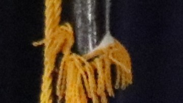 Martín Estrada, fiscal federal.