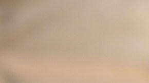 Se registra el segundo niño en el refugio para inmigrantes de Pilsen diagnosticado con sarampión