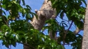 El papel de la familia en el crimen organizado en México