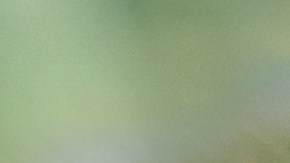 Un bebé murió tras el ataque de un perro en una casa de Nueva Jersey