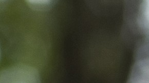 Arrestan a maestra de Connecticut por empujar fuertemente a un niño de 2 años contra una pared