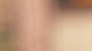 Las aplicaciones de citas son las favoritas para las personas que odian estar solteras.