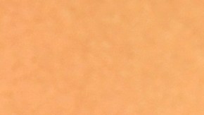 Timothée Chalamet y Austin Butler