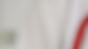 Riñón de cerdo es trasplantado a un humano por primera vez en la historia