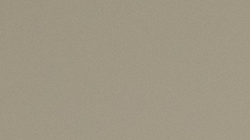 Algunas personas gozan viviendo solas.