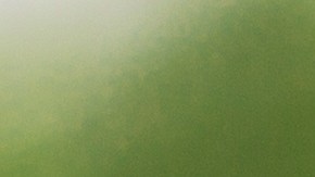 El horóscopo permite a los signos del zodiaco planear su porvenir.