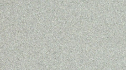 Zulia espera comenzar una gira pronto para dar a conocer su música. Foto: Cortesía