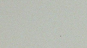 Zulia espera comenzar una gira pronto para dar a conocer su música. Foto: Cortesía