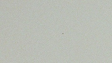 Zulia espera comenzar una gira pronto para dar a conocer su música. Foto: Cortesía