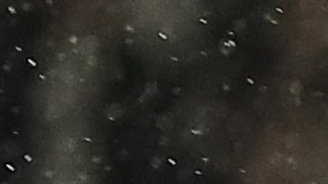 Kylian Mbappé es el actual líder goleador de la Ligue 1 con 26 goles, nueve más que su más cerca no perseguidor.