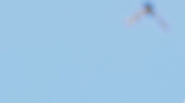 Claudia Sheinbaum, Jorge Máynez y Xóchitl Gálvez.