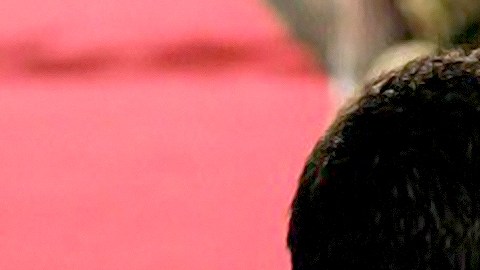 Michelle Renaud y Matías Novoa | Foto:Mezcalent