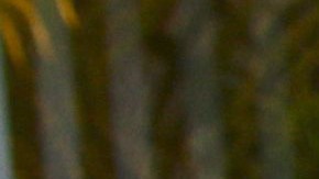 Bárbara de Regil | Foto: Mezcalent