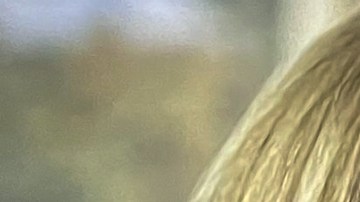 Erika Buenfil | Foto: Mezcalent