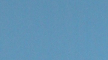 Samadhi Zendejas  y William Levy | Foto: Mezcalent