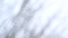 Adamari López | Foto: Mezcalent