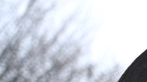 Adamari López | Foto: Mezcalent