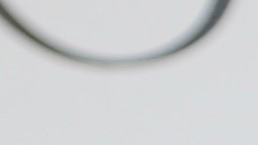 Michelle Galván y Fernando Guajardo